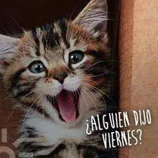 Imagenes graciosas