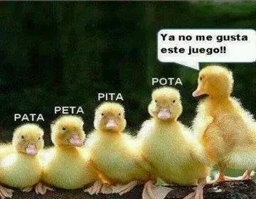 fotos graciosas