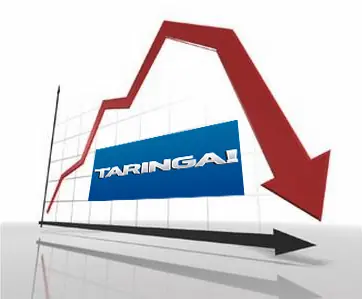 ¿Taringa en caída libre?