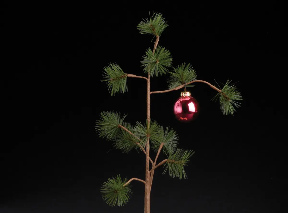 ¿Por qué se arma el árbol de Navidad hoy?