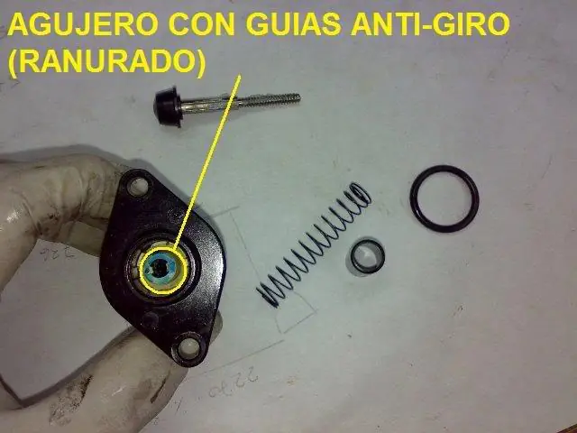 motor paso a