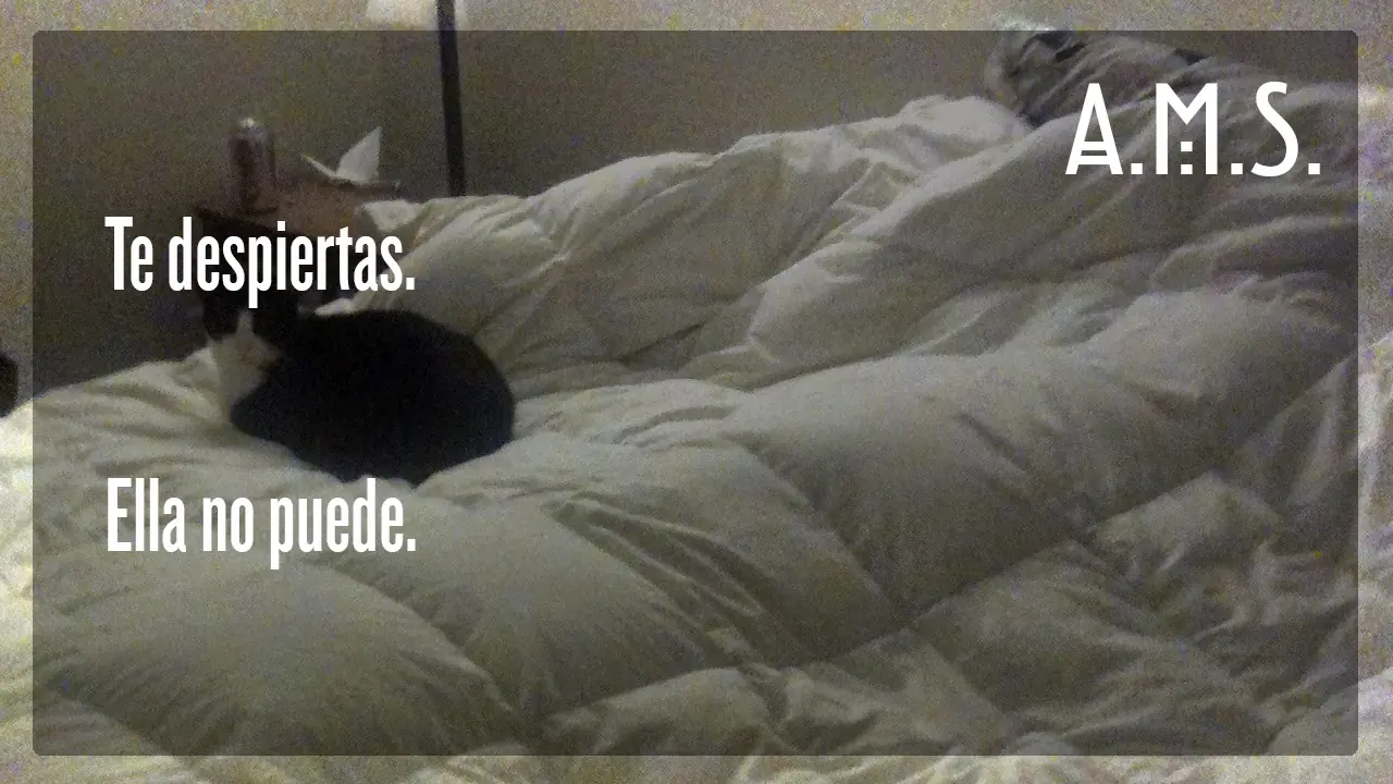 historias de terror