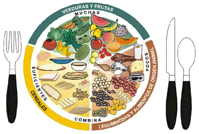 Baja de peso rápido: alimentos que queman grasa