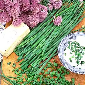 Ciboulette. Esa fina y gustosa hierba