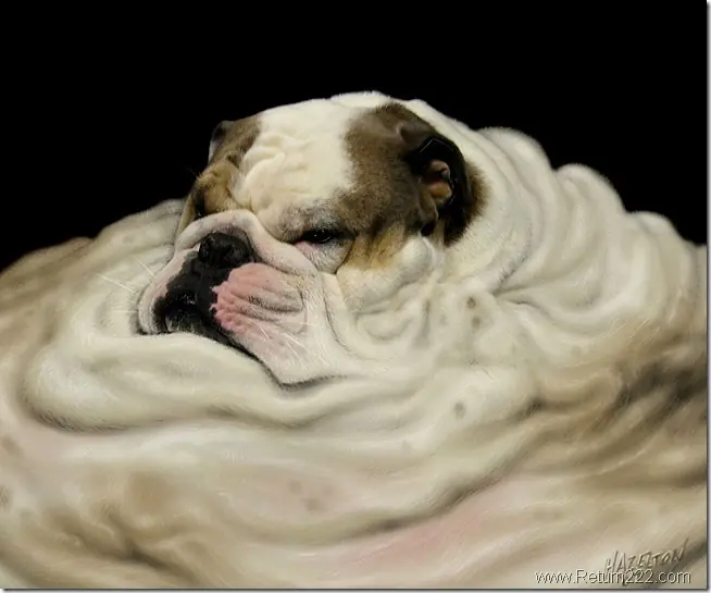 photoshop