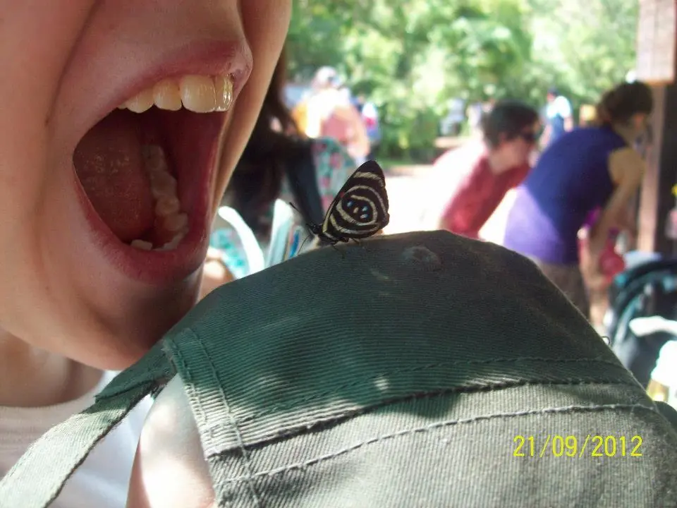 naturaleza