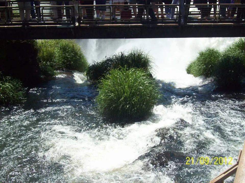 naturaleza