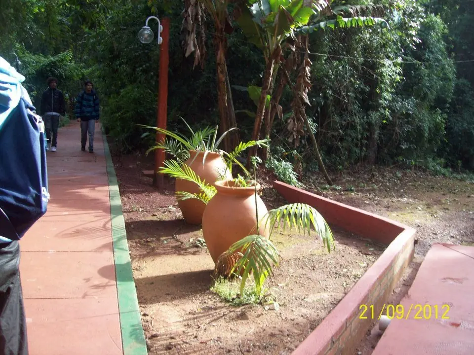 naturaleza