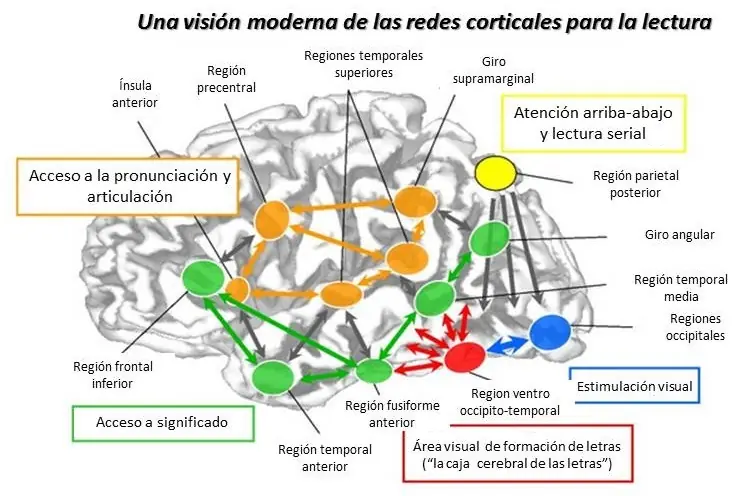 lectura