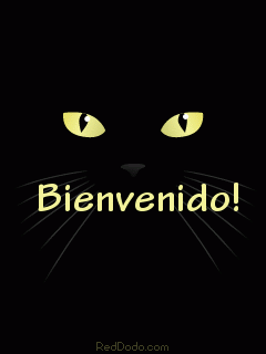 Qué pensaba Tesla sobre la guerra?breve