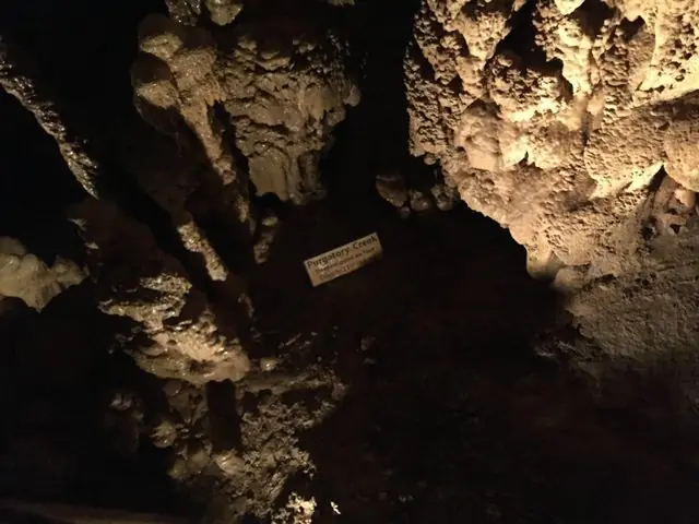 Las cavernas de San Antonio - Texas - USA