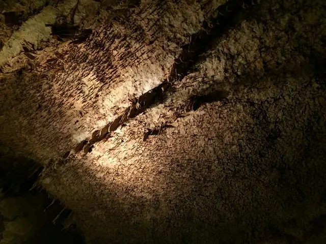 Las cavernas de San Antonio - Texas - USA
