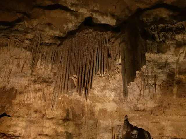 Las cavernas de San Antonio - Texas - USA