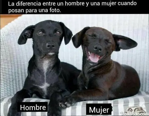 humor