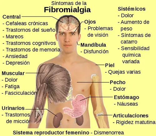 Saná tus emociones y sanarás tu cuerpo