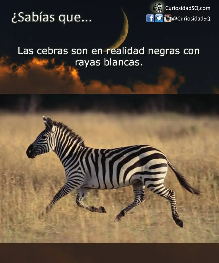 imagenes