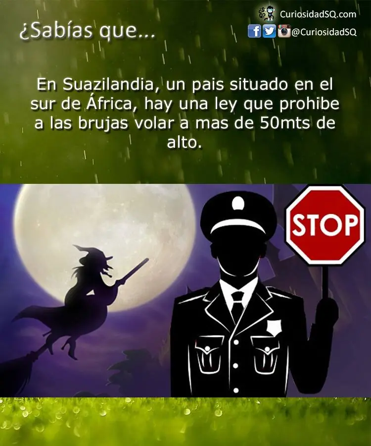 imagenes