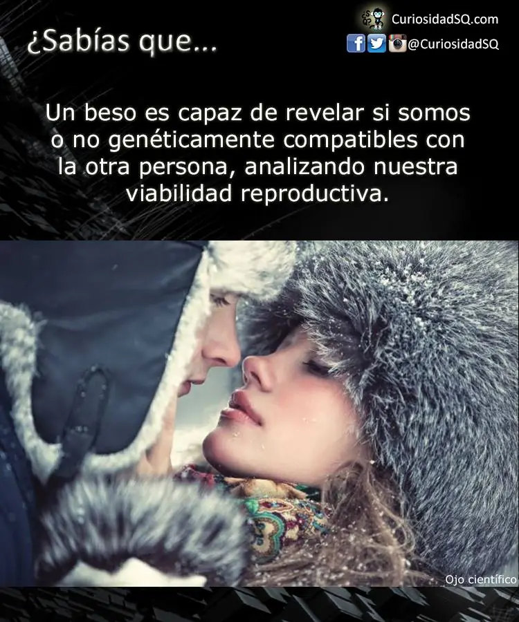 sabias