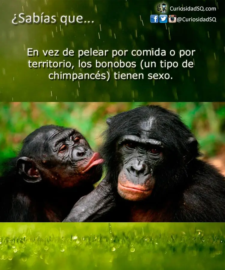 educacion