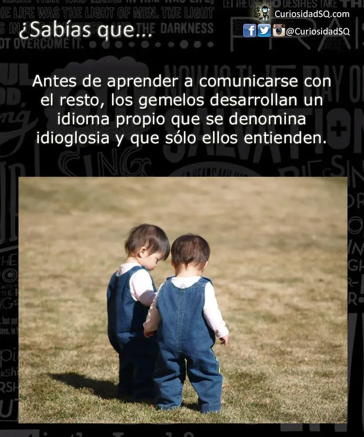 sabias