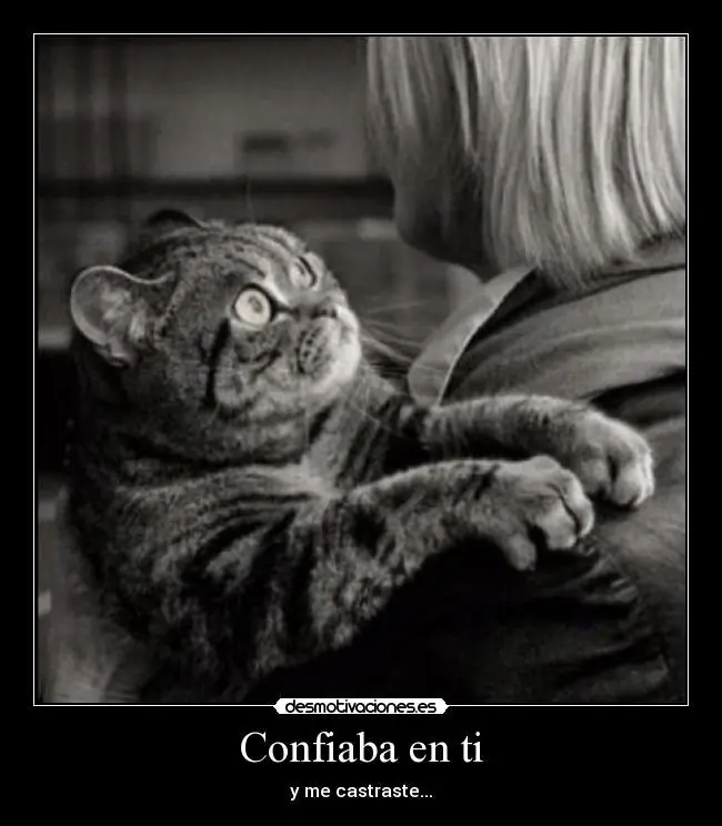 risas