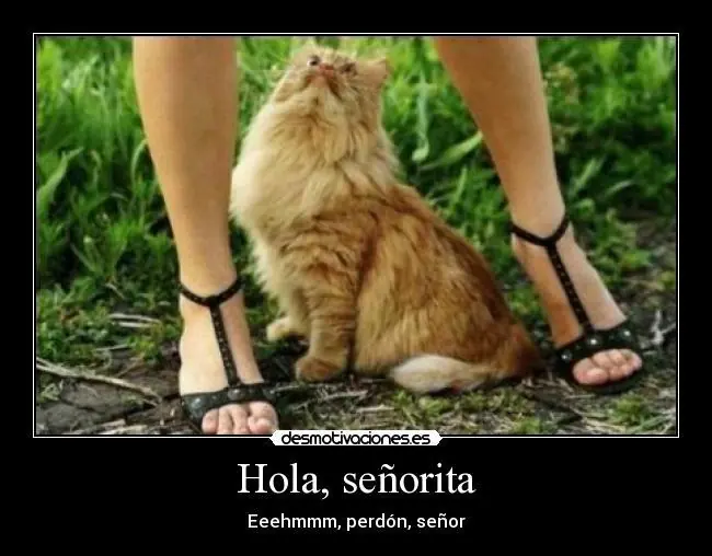 imagenes