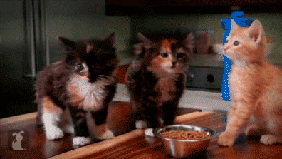 gif chistosos