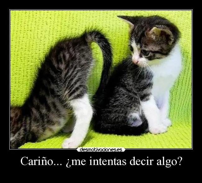 imagenes