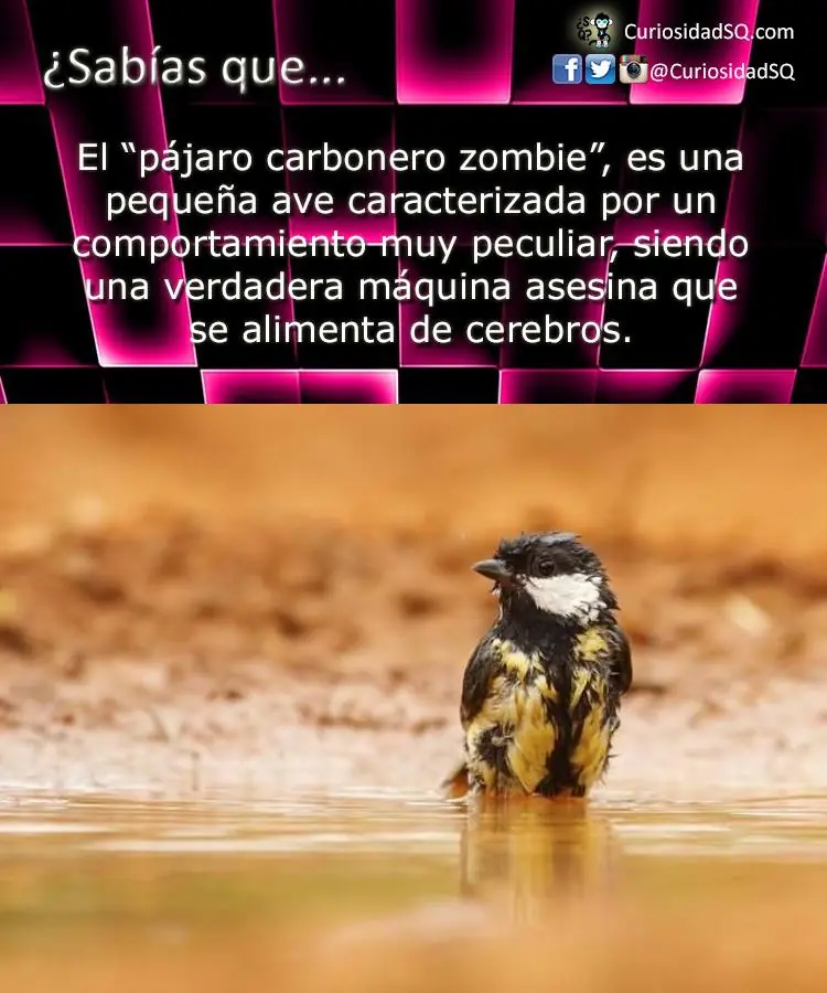 ciencia