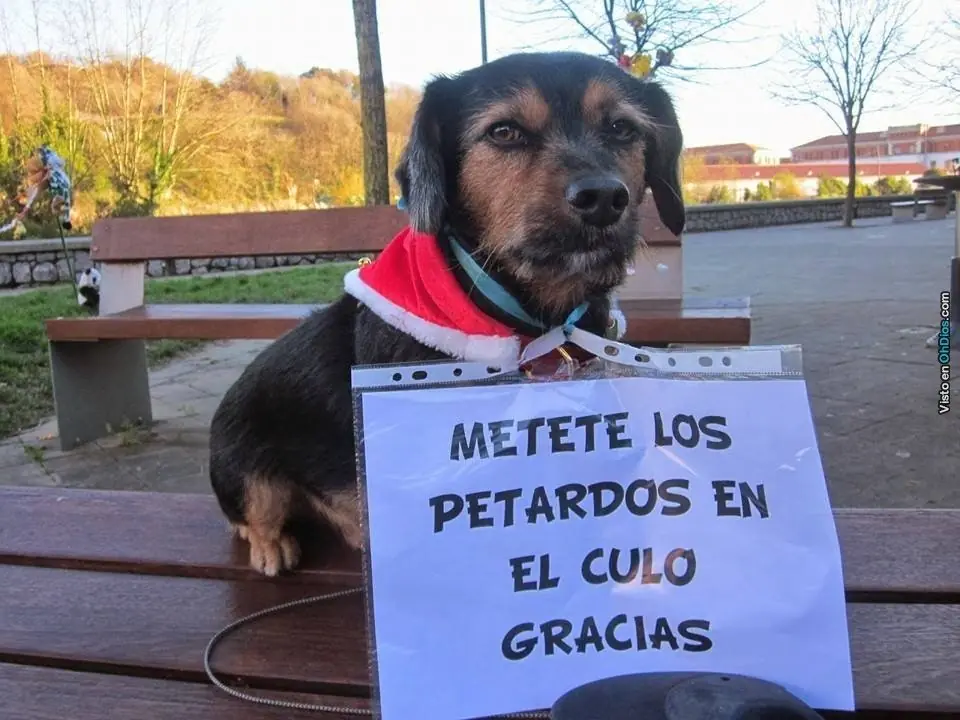 imagenes