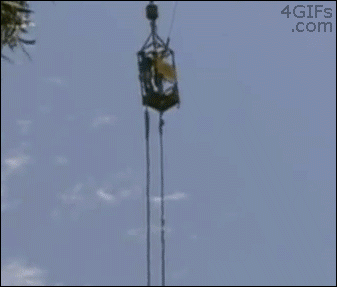 Gifs