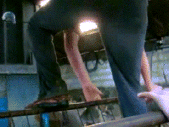 Gifs
