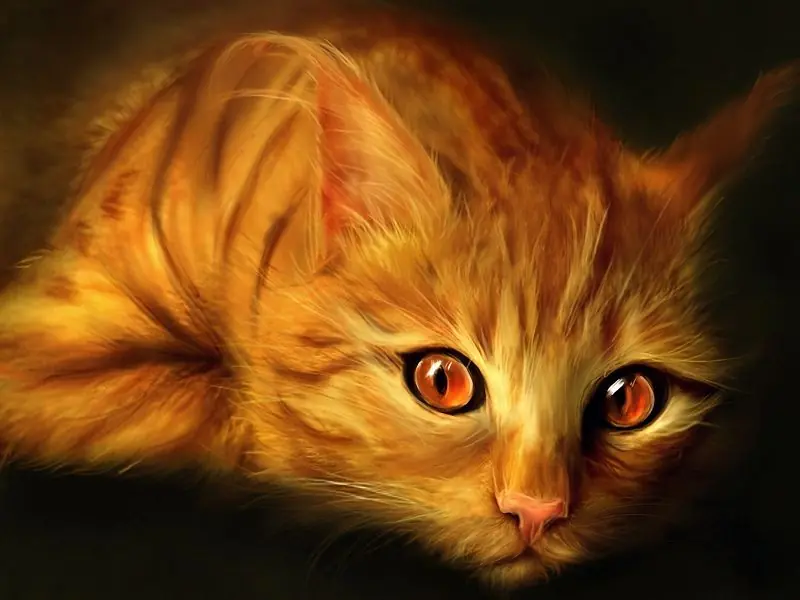 lince