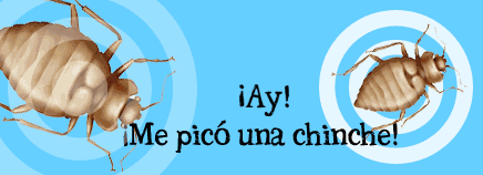 arañas