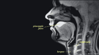 Ciencia y Educación. Gifs impresionantes