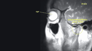 Ciencia y Educación. Gifs impresionantes