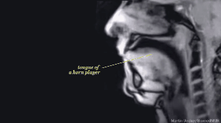 Ciencia y Educación. Gifs impresionantes