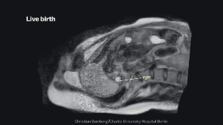 Ciencia y Educación. Gifs impresionantes