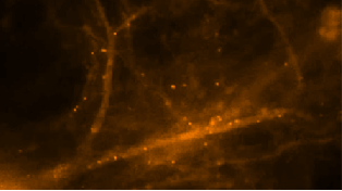 Ciencia y Educación. Gifs impresionantes