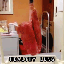 Ciencia y Educación. Gifs impresionantes