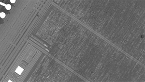 Ciencia y Educación. Gifs impresionantes