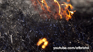 Ciencia y Educación. Gifs impresionantes