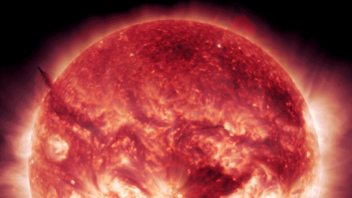 Ciencia y Educación. Gifs impresionantes