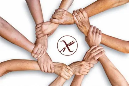 comentarios estupidos de youtube