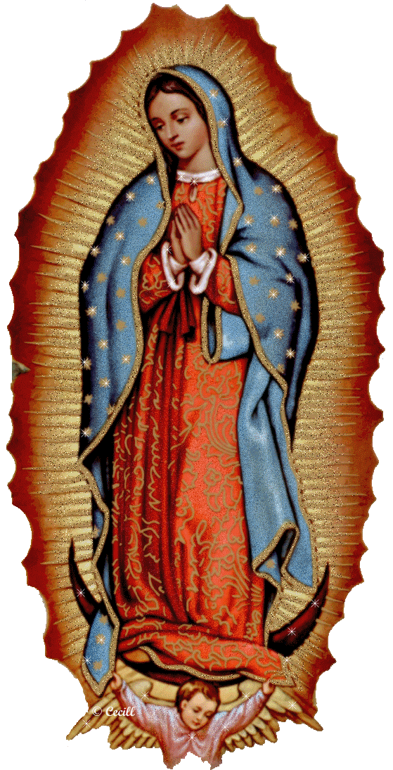 Preparando Navidad Mexicana para el Mundo. Parte I