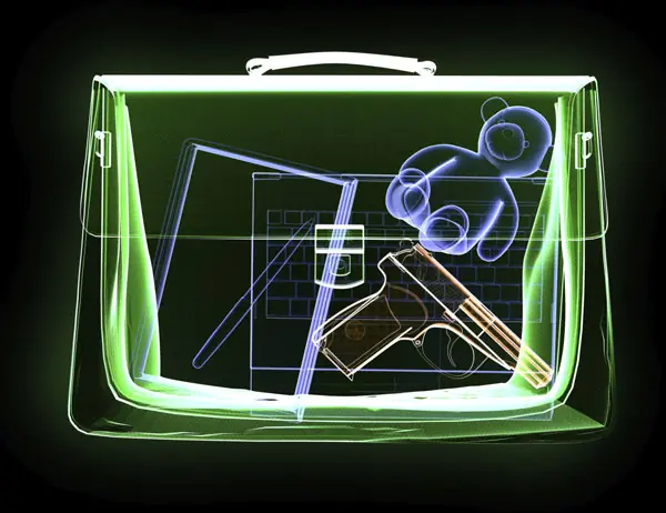 Los 10 equipajes de mano más extraños vistos en un avión