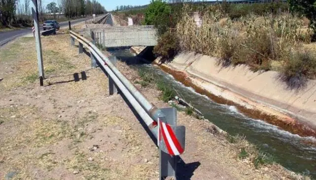Murió al intentar rescatar el perro de su hijo