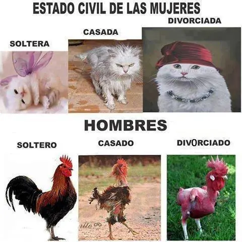 ¿Aburrido?Imagenes de humor parte 3