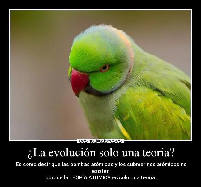 Astronomia