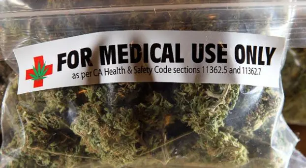 Así mata la marihuana las células cancerígenas